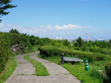 Hitachi Sahil Parkı, Japonya Peyzajı