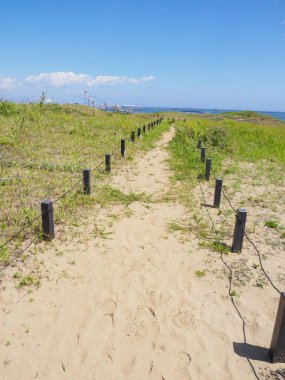 Hitachi Sahil Parkı, Japonya Peyzajı