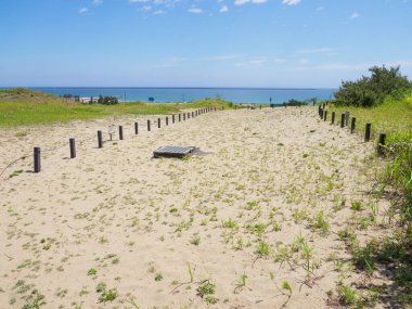 Hitachi Sahil Parkı, Japonya Peyzajı