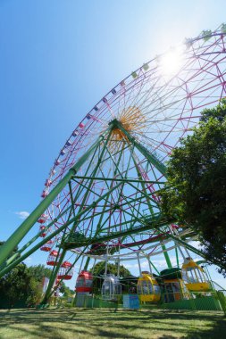 Hitachi Sahil Parkı, Japonya Peyzajı