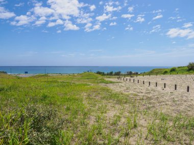 Hitachi Sahil Parkı, Japonya Peyzajı