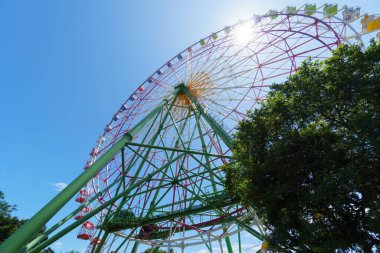 Hitachi Sahil Parkı, Japonya Peyzajı