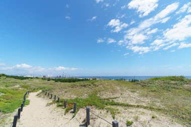 Hitachi Sahil Parkı, Japonya Peyzajı