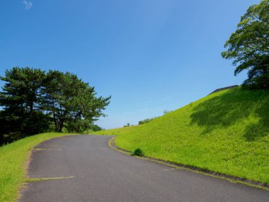 Hitachi Sahil Parkı, Japonya Peyzajı