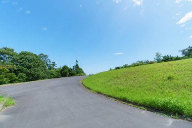 Hitachi Sahil Parkı, Japonya Peyzajı