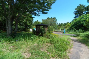 Hitachi Sahil Parkı, Japonya Peyzajı