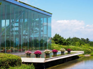 Hitachi Sahil Parkı, Japonya Peyzajı