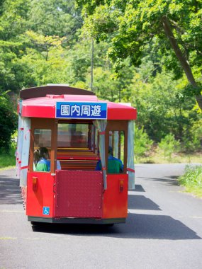 Hitachi Sahil Parkı, Japonya Peyzajı