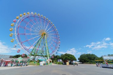 Hitachi Sahil Parkı, Japonya Peyzajı
