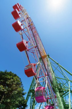 Hitachi Sahil Parkı, Japonya Peyzajı