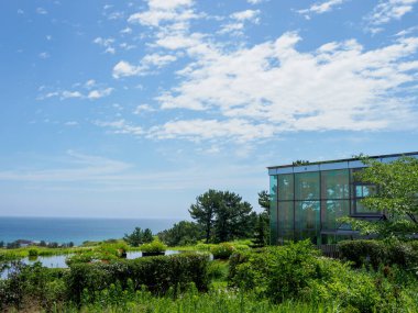 Hitachi Sahil Parkı, Japonya Peyzajı