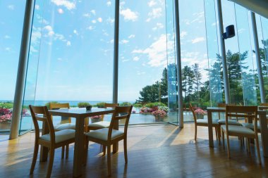 Hitachi Sahil Parkı, Japonya Peyzajı