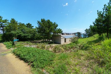 Hitachi Sahil Parkı, Japonya Peyzajı