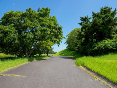 Hitachi Sahil Parkı, Japonya Peyzajı