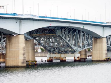 Tokyo Arakawa nehir yatağı manzarası