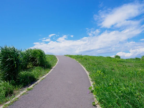 stock image Hitachi Seaside Park, Japan Landscape