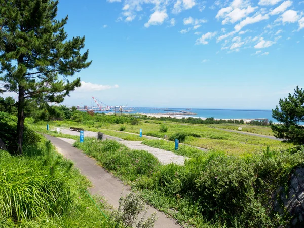 Přímořský Park Hitachi Japonsko — Stock fotografie