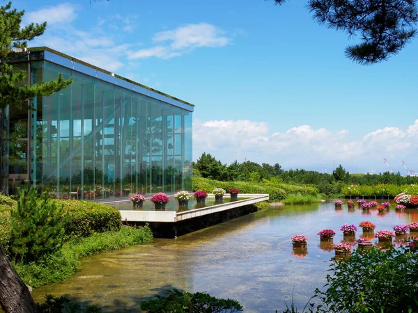 Hitachi Sahil Parkı, Japonya Peyzajı