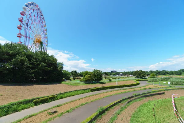 Hitachi Tengerparti Park Japán Tájkép — Stock Fotó