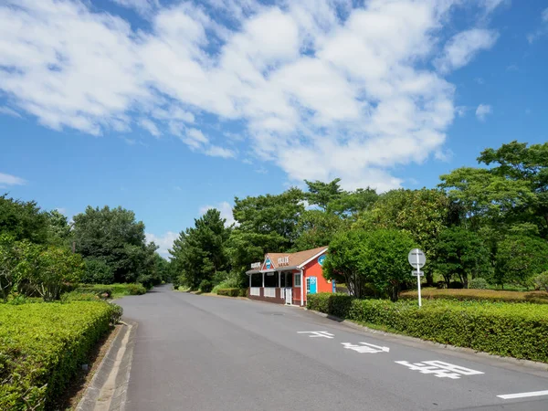 Hitachi Seaside Park Japan Landschap — Stockfoto