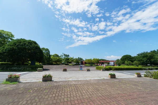 Hitachi Sahil Parkı, Japonya Peyzajı