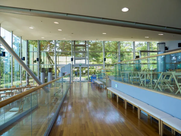 Hitachi Sahil Parkı, Japonya Peyzajı