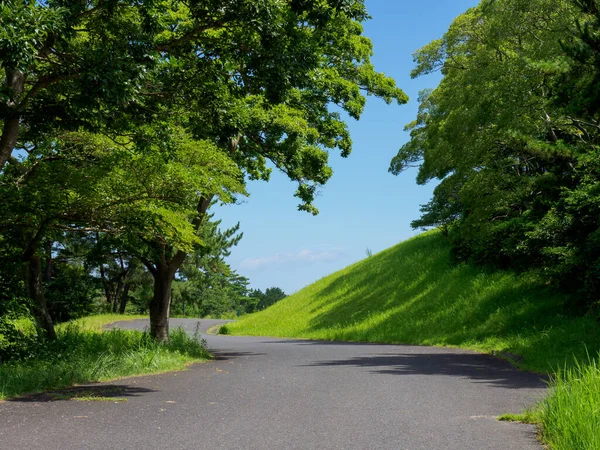 Hitachi Sahil Parkı, Japonya Peyzajı