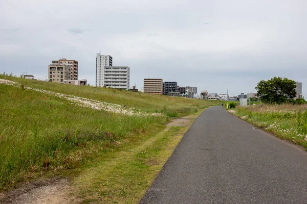 Tokyo Arakawa nehir yatağı manzarası