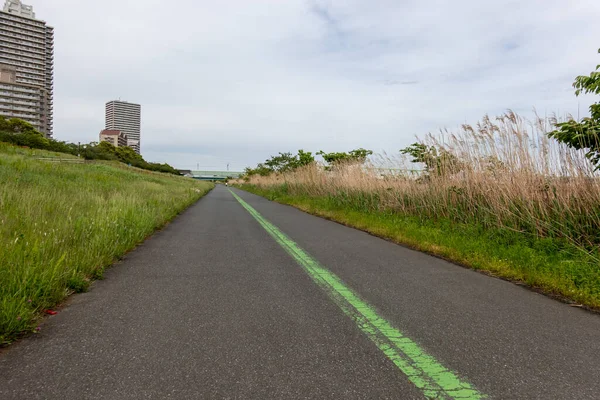 Tokyo Arakawa nehir yatağı manzarası