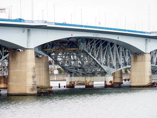 Tokyo Arakawa nehir yatağı manzarası