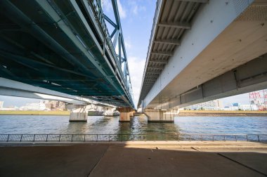 Tokyo Arakawa nehir yatağı manzarası