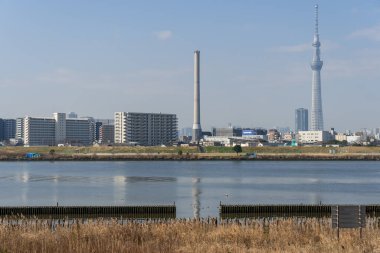 Tokyo Arakawa nehir yatağı manzarası