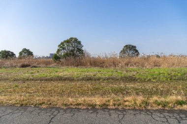 Tokyo Arakawa nehir yatağı manzarası