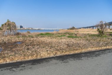 Tokyo Arakawa nehir yatağı manzarası