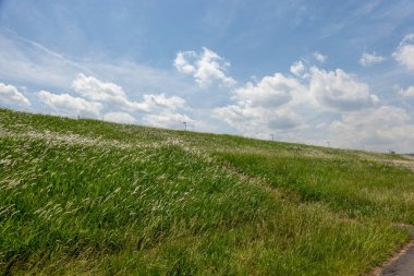Tokyo Arakawa nehir yatağı manzarası