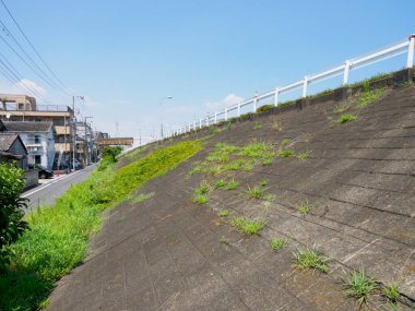 Tokyo Arakawa nehir yatağı manzarası