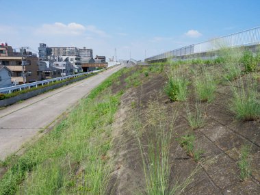 Tokyo Arakawa nehir yatağı manzarası