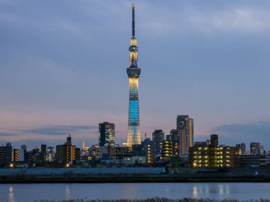 Tokyo Arakawa nehir yatağı manzarası