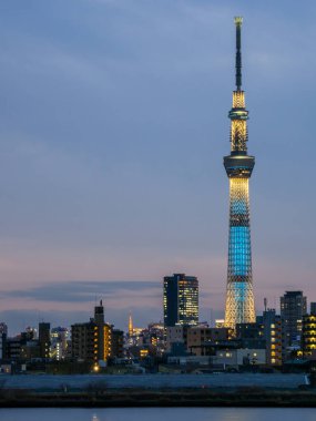 Tokyo Arakawa nehir yatağı manzarası