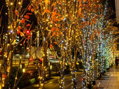 Japonya 'da Tokyo solamachi aydınlatması