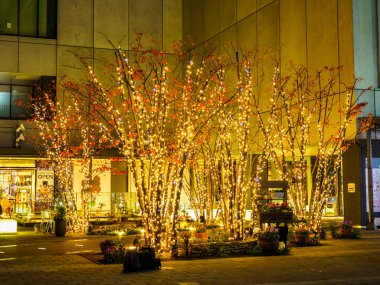 Japonya 'da Tokyo solamachi aydınlatması