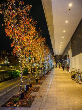 Japonya 'da Tokyo solamachi aydınlatması