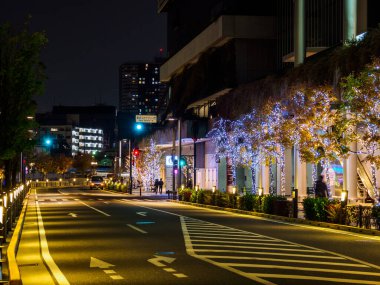 Japonya 'da Tokyo solamachi aydınlatması