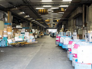 Tokyo Tsukiji Piyasa Manzarası