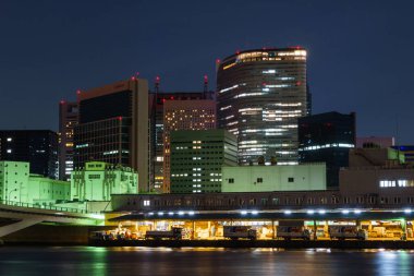 Tokyo Tsukiji Pazar Gecesi Görünümü