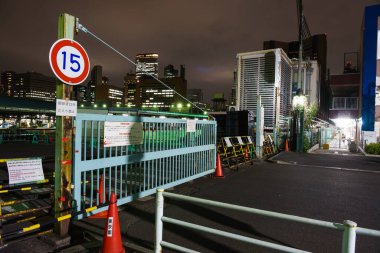 Tokyo Tsukiji Pazar Gecesi Görünümü