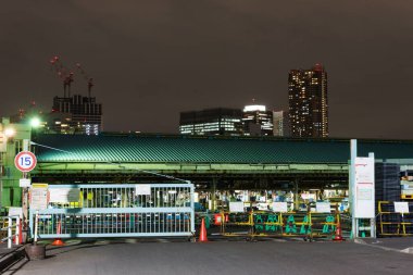 Tokyo Tsukiji Pazar Gecesi Görünümü