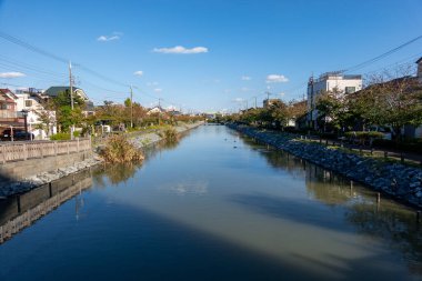 Tokyo sonbahar yaprakları peyzaj