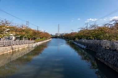 Tokyo sonbahar yaprakları peyzaj