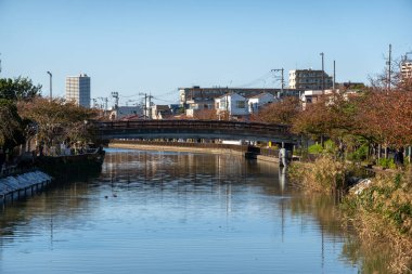 Tokyo sonbahar yaprakları peyzaj